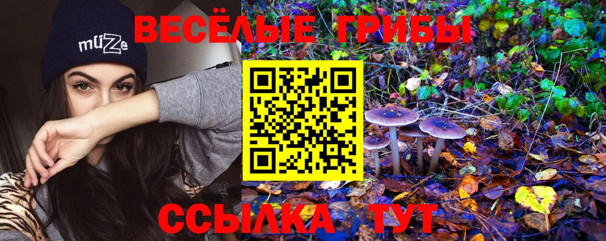 цены наркотик  Псилоцибиновые грибы Magic Shrooms  Вход с VPN  Галлюциногенные грибы ЛСД  Назрань 