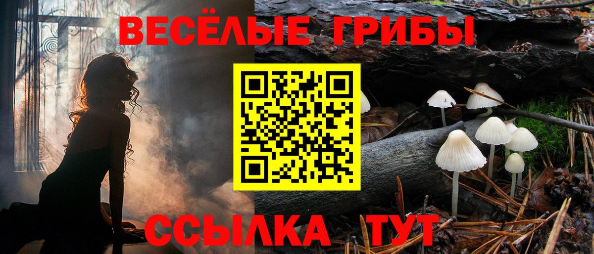 Галлюциногенные грибы прущие грибы Назрань